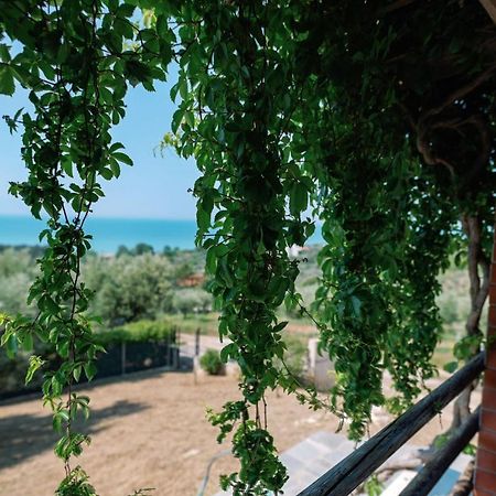 Villa Aiolos 알렉산드로폴리스 외부 사진