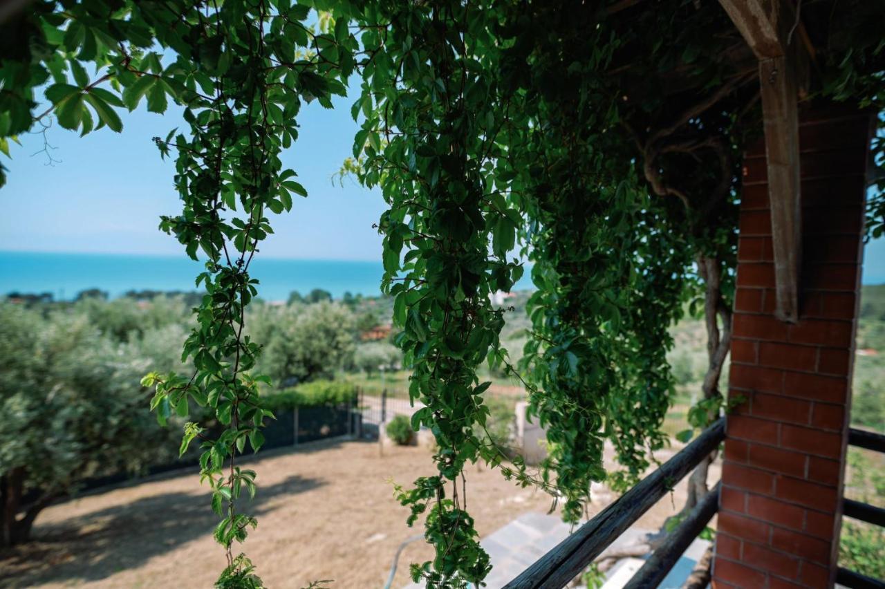 Villa Aiolos 알렉산드로폴리스 외부 사진