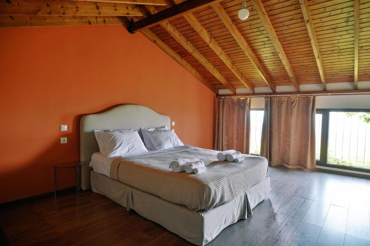 Villa Aiolos 알렉산드로폴리스 외부 사진